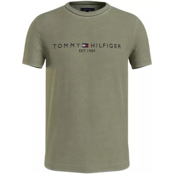 tekstylia Męskie Koszulki polo z długim rękawem Tommy Hilfiger MW0MW35186 Zielony