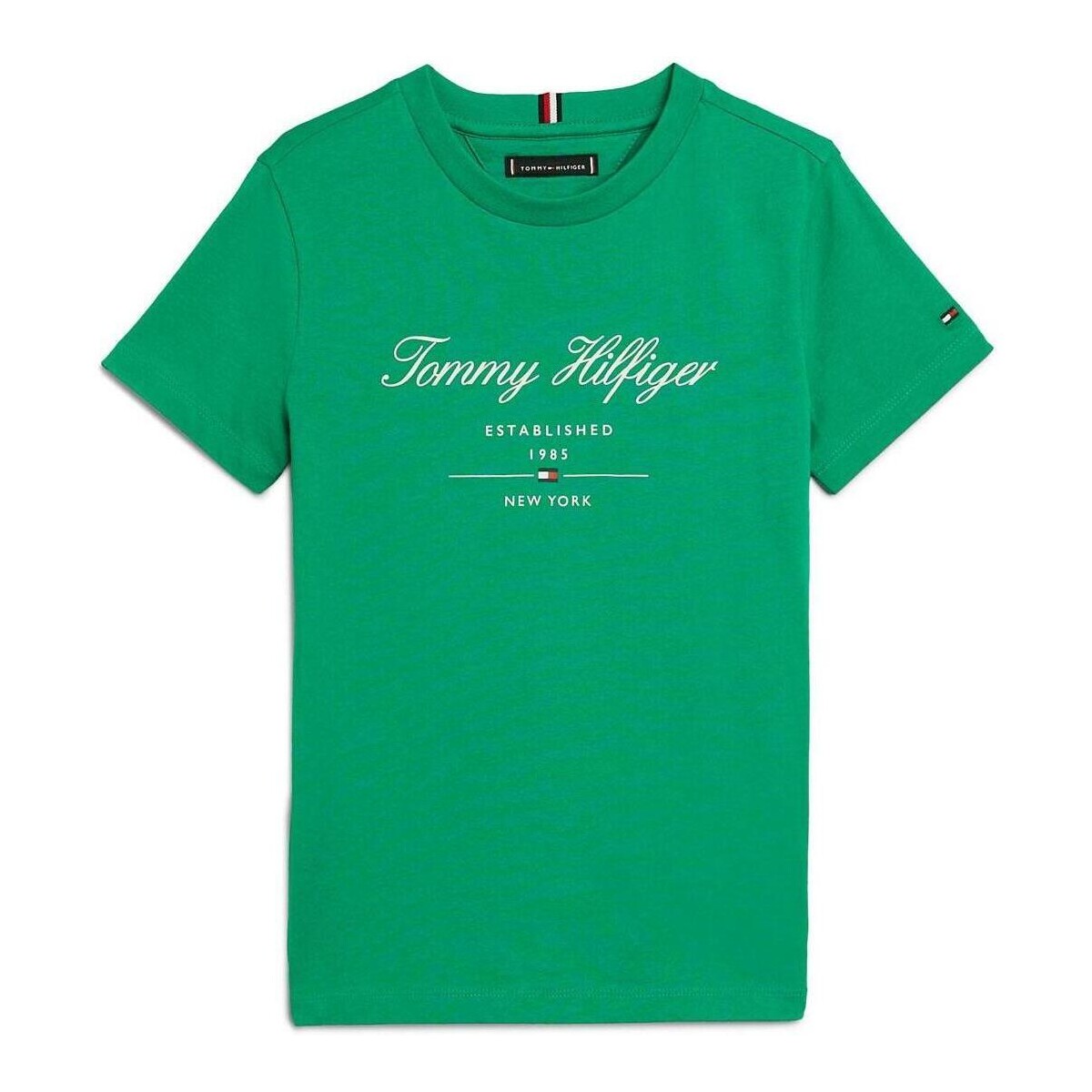 tekstylia Chłopiec T-shirty i Koszulki polo Tommy Hilfiger  Zielony