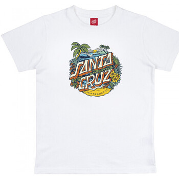 tekstylia Dziecko T-shirty i Koszulki polo Santa Cruz Youth aloha dot front Biały