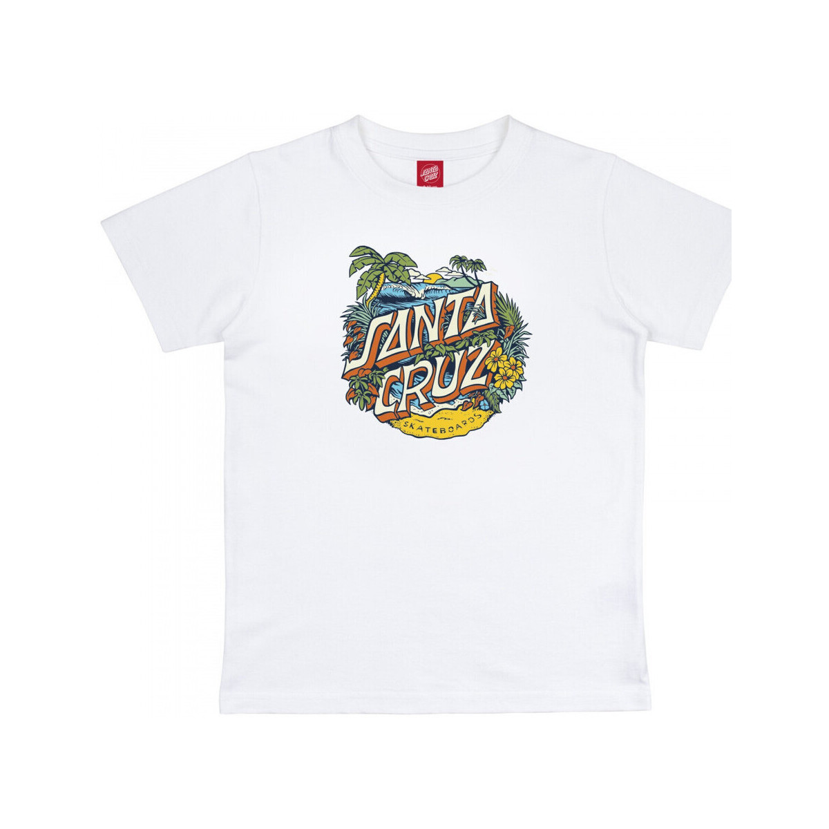 tekstylia Chłopiec T-shirty i Koszulki polo Santa Cruz Youth aloha dot front Biały