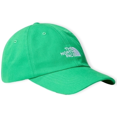 Dodatki Męskie Czapki z daszkiem The North Face Norm Cap - Optic Emerald Zielony