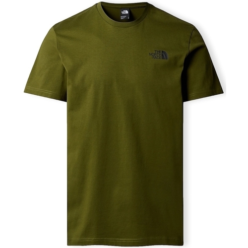 tekstylia Męskie T-shirty i Koszulki polo The North Face Redbox Celebration T-Shirt - Forest Olive Zielony