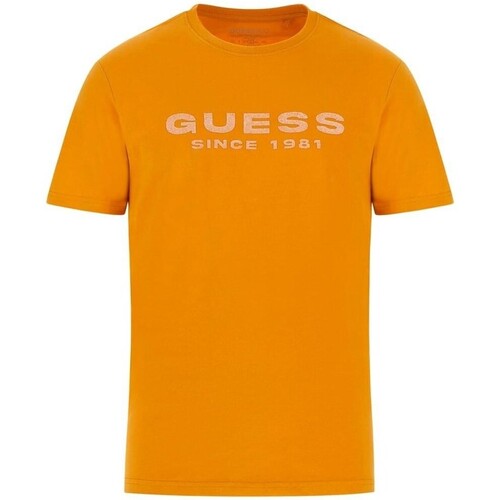 tekstylia Męskie T-shirty z krótkim rękawem Guess  Wielokolorowy