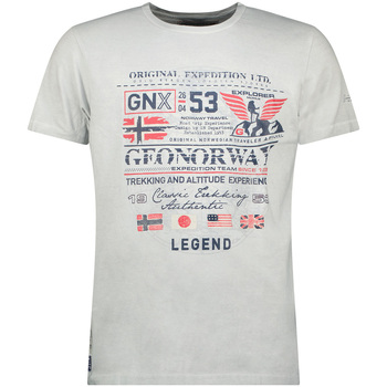 tekstylia Męskie T-shirty z krótkim rękawem Geo Norway SW1562HGNO-LIGHT GREY Szary