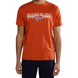 tekstylia Męskie T-shirty z krótkim rękawem Napapijri 236334 Pomarańczowy