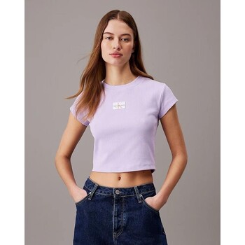 tekstylia Damskie T-shirty z krótkim rękawem Calvin Klein Jeans J20J223552VFR Fioletowy