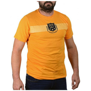 tekstylia Męskie T-shirty i Koszulki polo Kappa Tripack Maglie Pomarańczowy